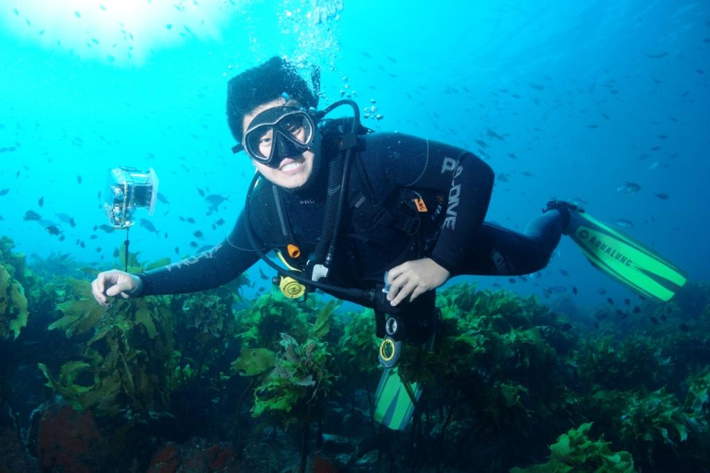 Bay of Islands 2 Reef dive Trip