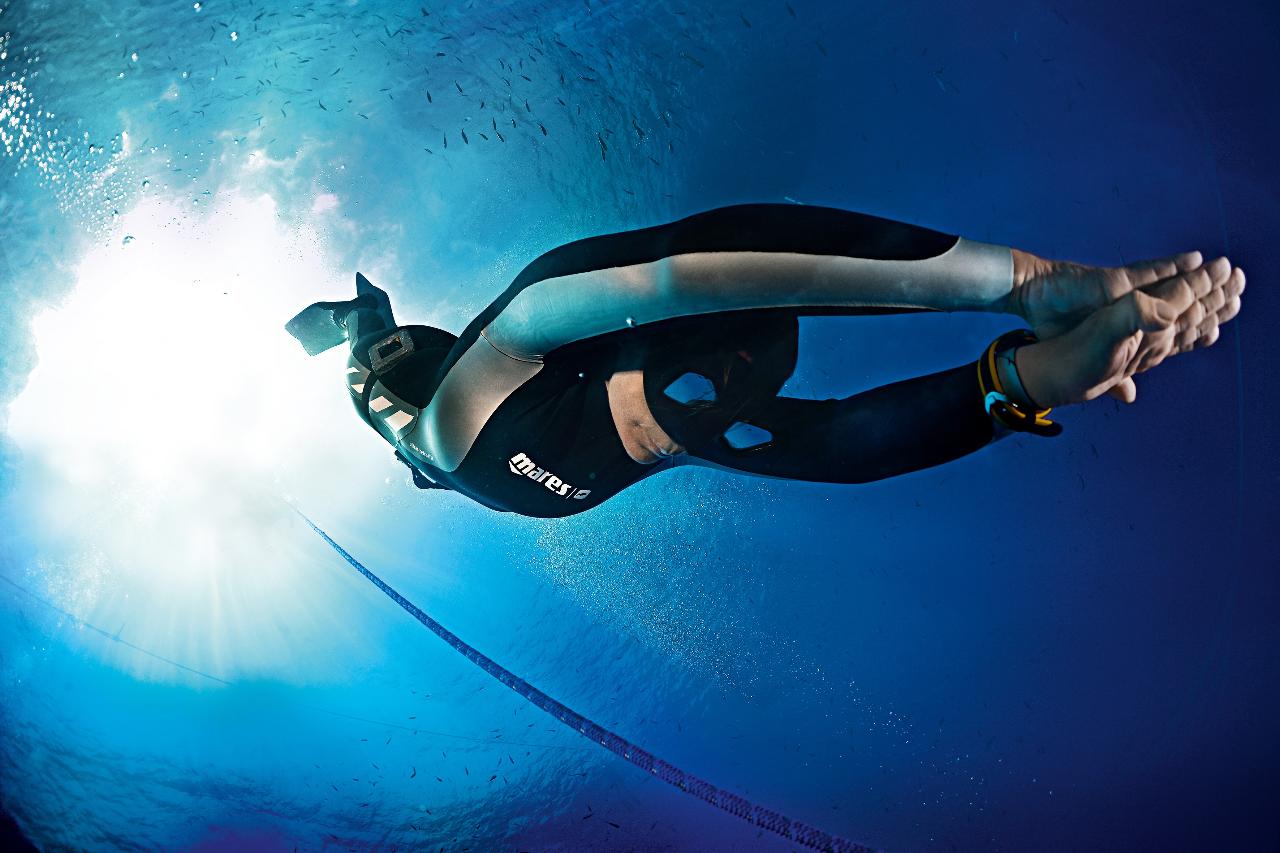 Bay of Islands Day Trip Freediving