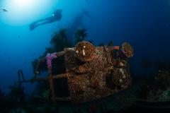 Canterbury Wreck and Reef dive 