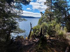Lake St Clair to Hobart PRIVATE TRANSFER