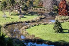 Latrobe to Launceston PRIVATE TRANSFER