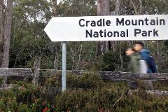 Perth to Cradle Mountain PRIVATE TRANSFER