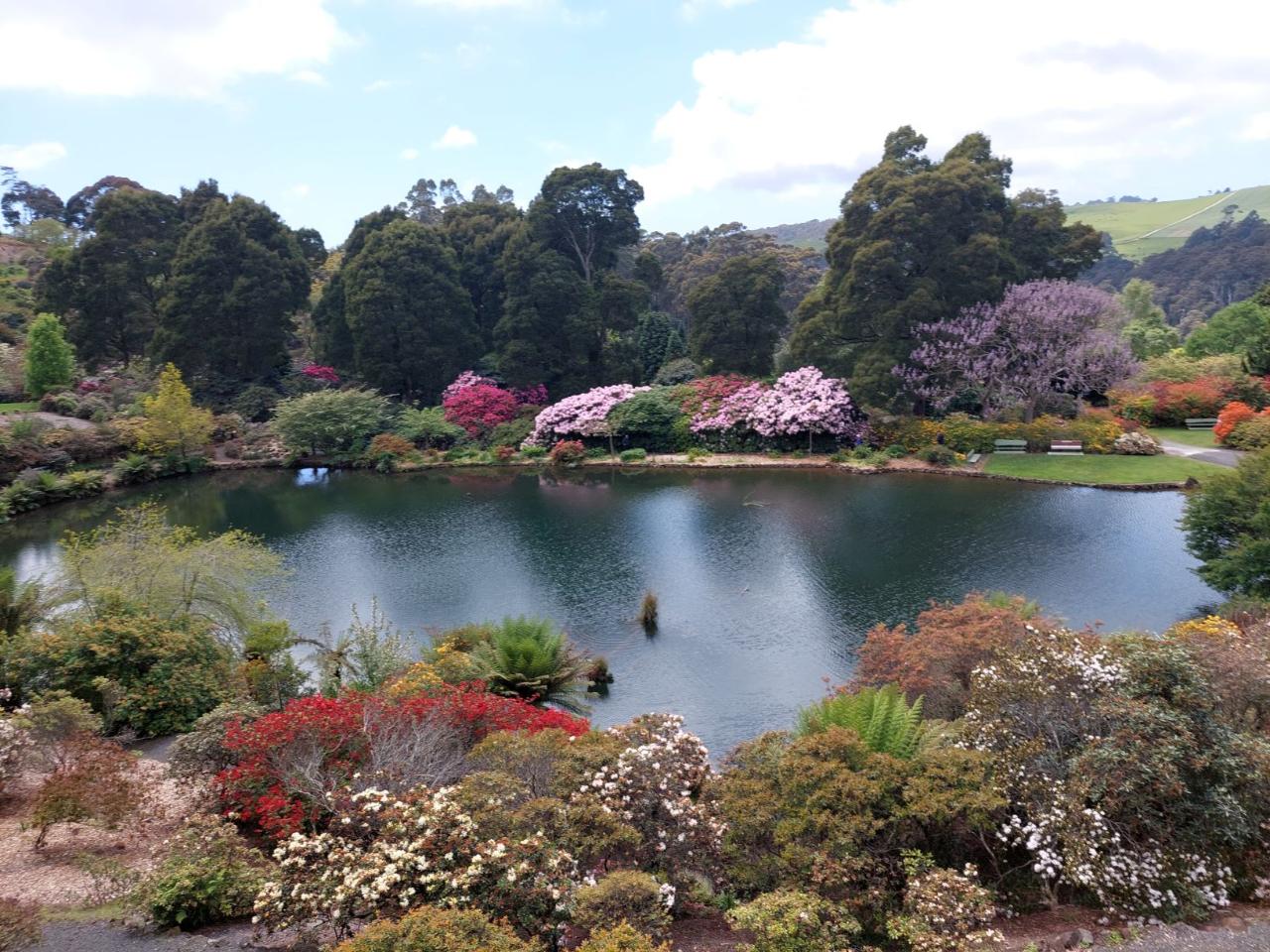 EMU VALLEY RHODODENDRON GARDENS: Burnie Shore excursion