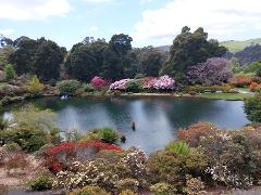 EMU VALLEY RHODODENDRON GARDENS: Burnie Shore excursion