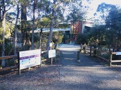 Lake St Clair Lodge to Sheffield