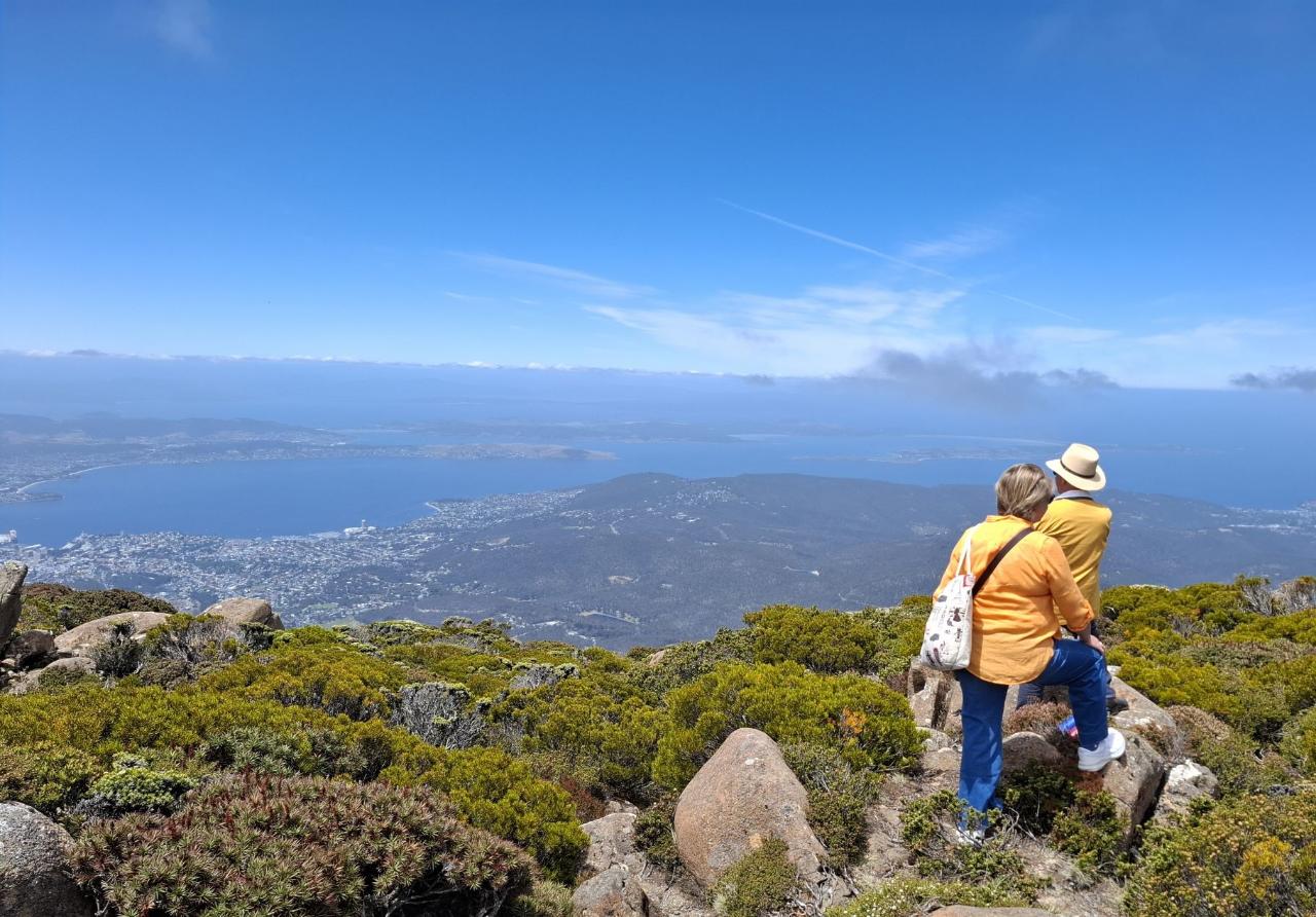 Mount Wellington: Hobart Shore Excursion