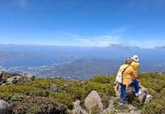 Hobart Shore Excursion: Mt Wellington