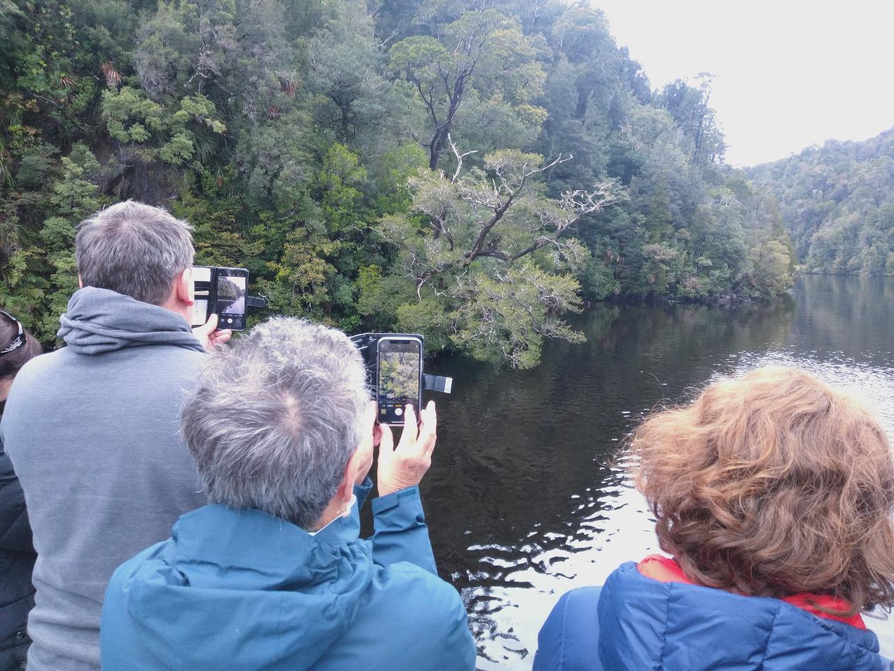 Ultimate Tasmania Journey