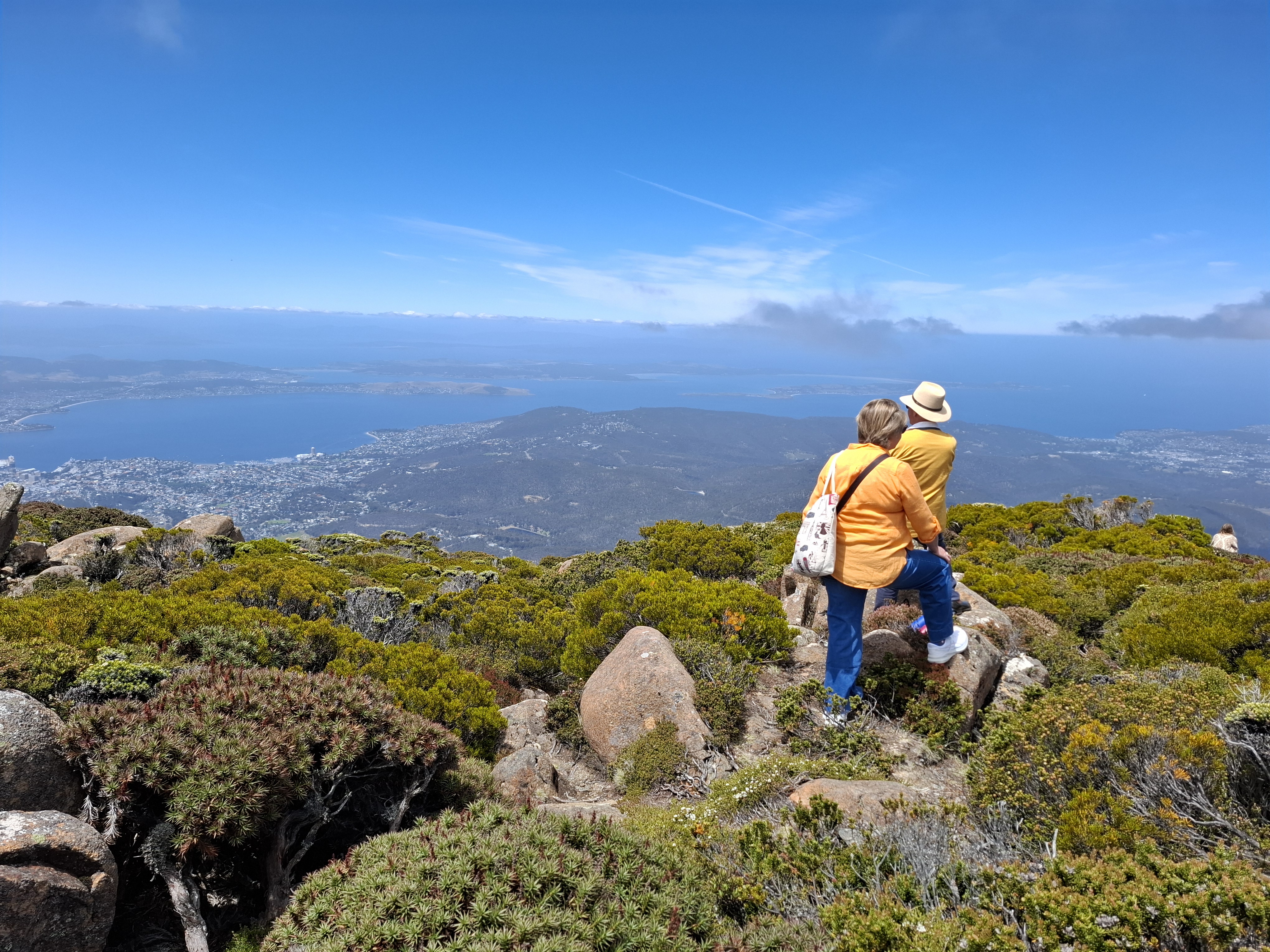 Hobart Highlights & Mount Wellington Shore Excursion