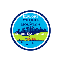 Tasmanian Wildlife & Mountain Shore Excursion