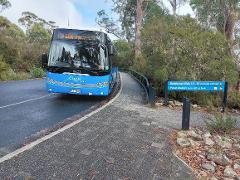 Cradle Mountain Day Tour from Devonport SELF GUIDED