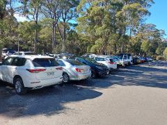  Park at Lake St Clair, Overnight in Deloraine, and Transfer to Cradle