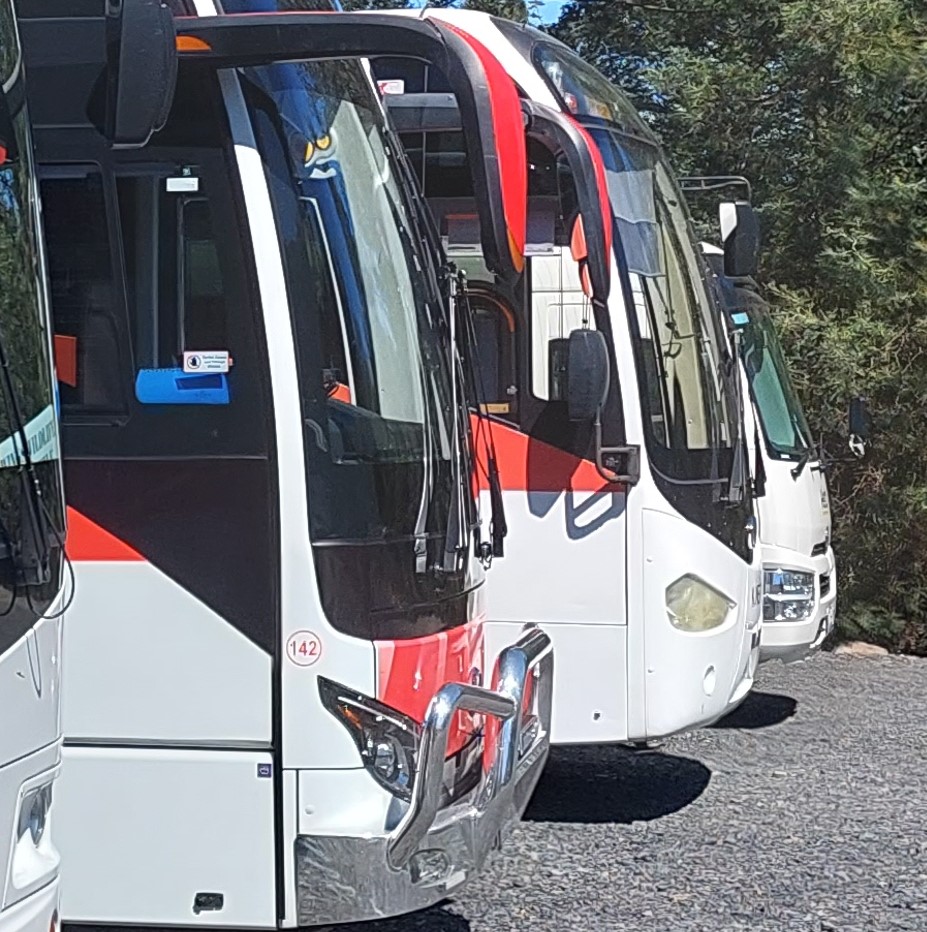 HOBART PRIVATE SHORE EXCURSION: 50 SEATER COACH