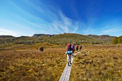 Cradle Mountain from Hobart with a night in Launceston
