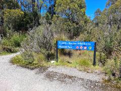 Hobart to Frenchmans Cap