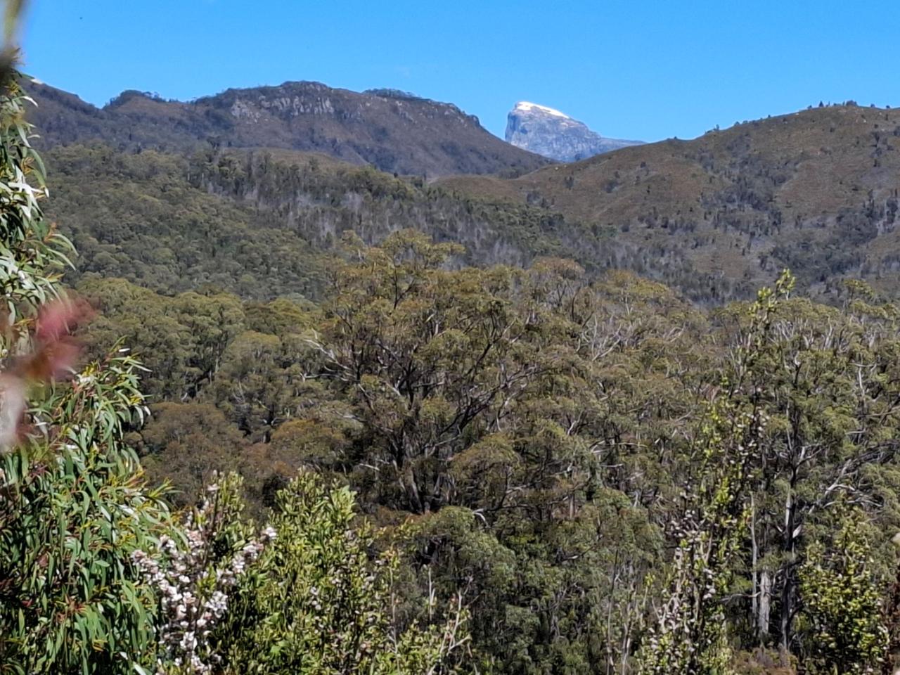 Frenchmans Cap to Hobart
