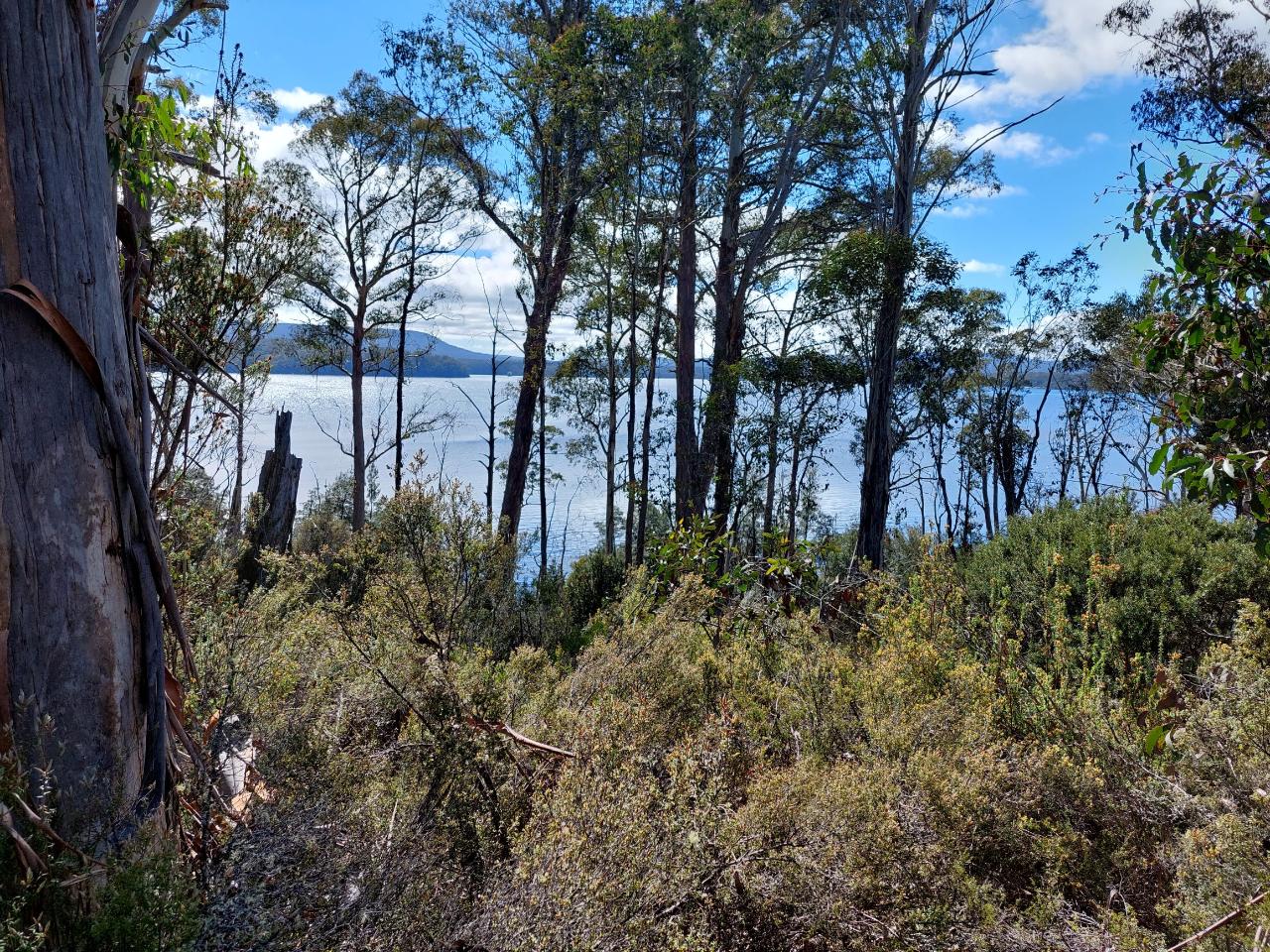 Lake St Clair to Miena