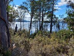 Lake St Clair to Miena