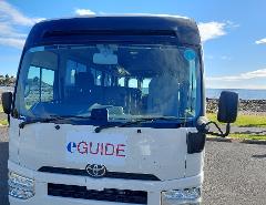 Private Tour: Burnie Shore excursion