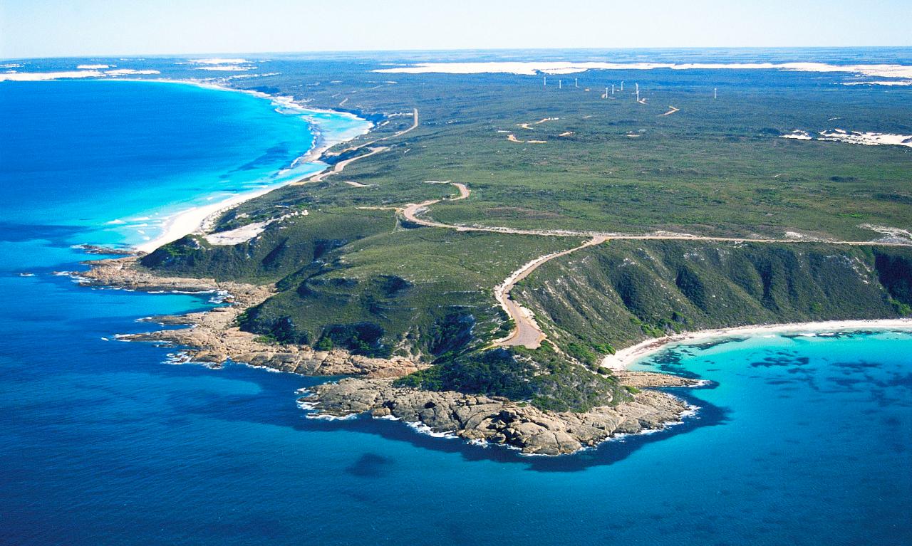 Two Hour 'Great Ocean Drive' Tour