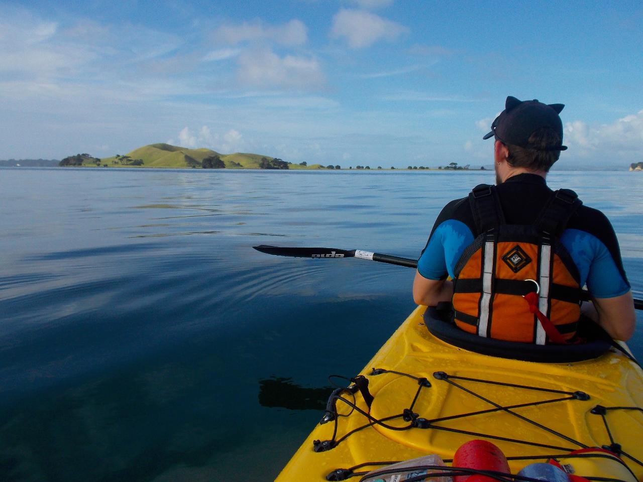 Browns Island (Motukorea) Half Day Kayak Tour Fergs Kayaks Reservations