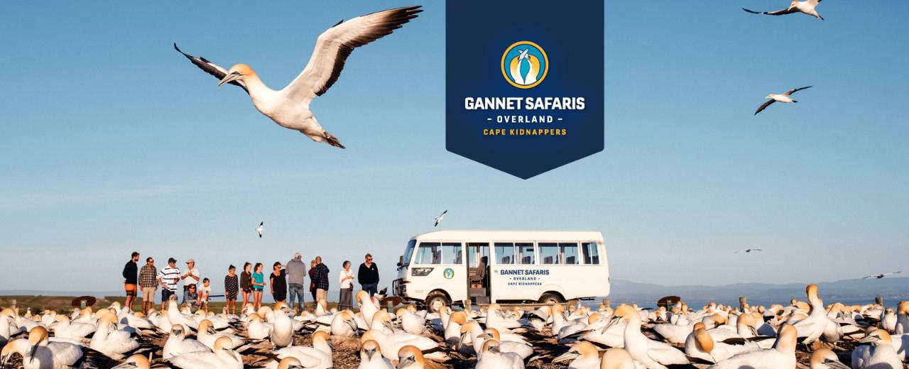 Regular Tour to Cape Kidnappers - Gift Voucher