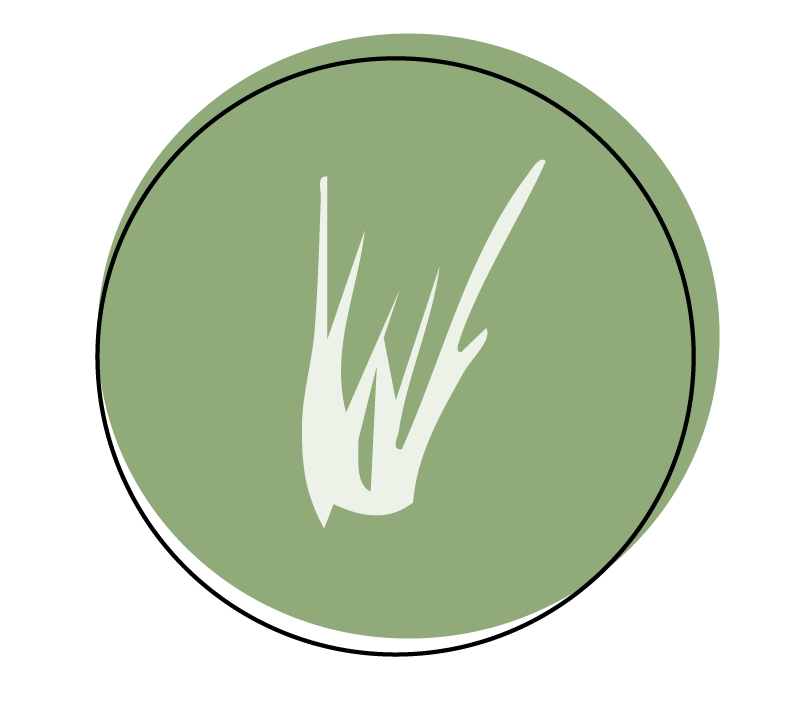 Native Plant