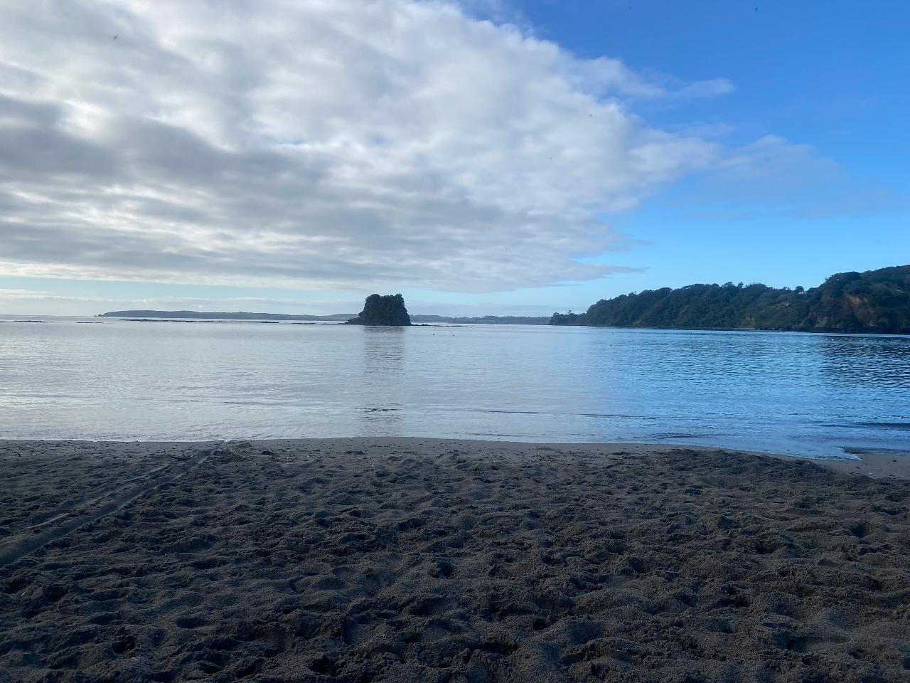 Te Kohuroa Rewilding Coastal Cruise