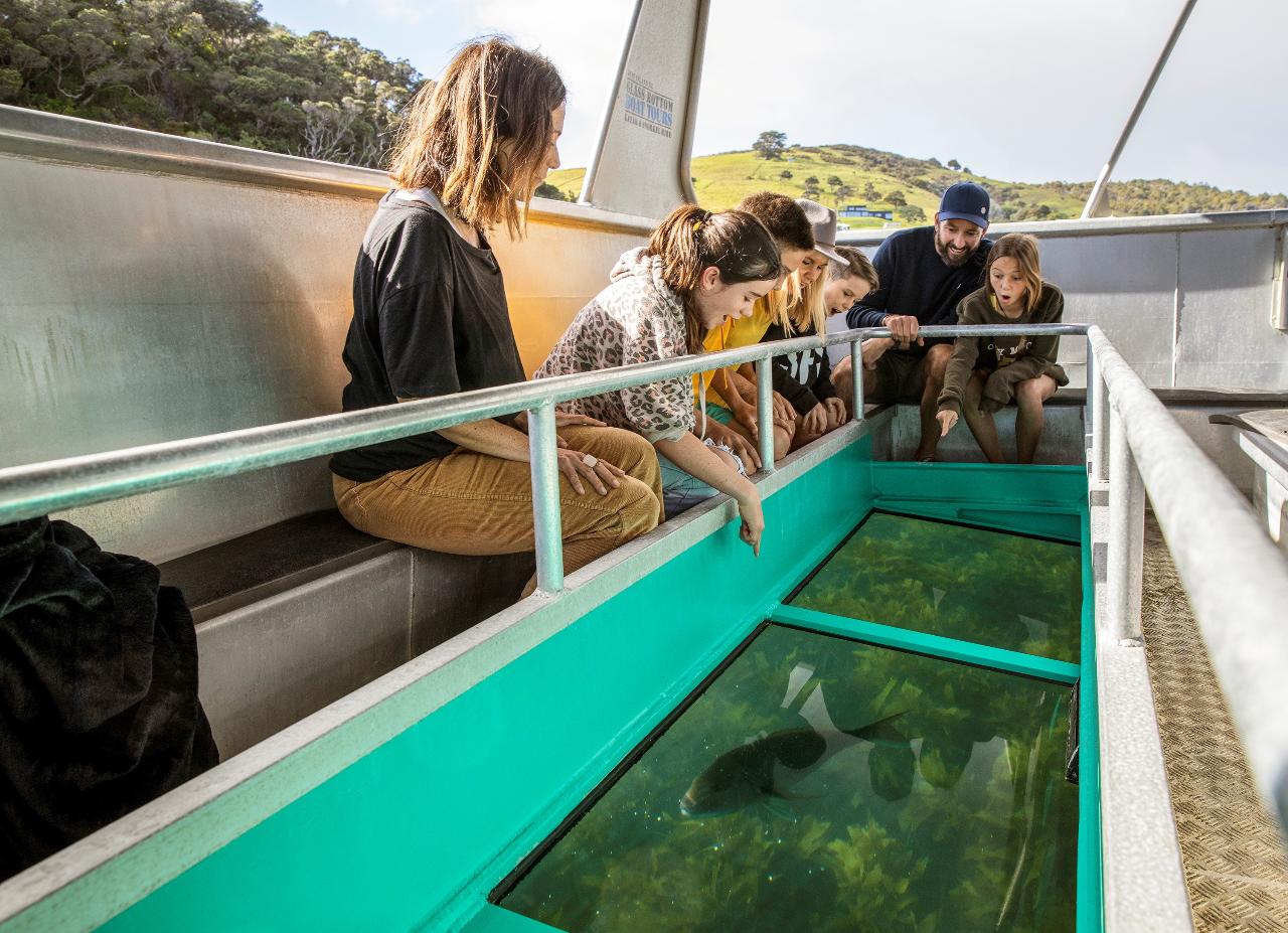 Glass Bottom Boat Tour