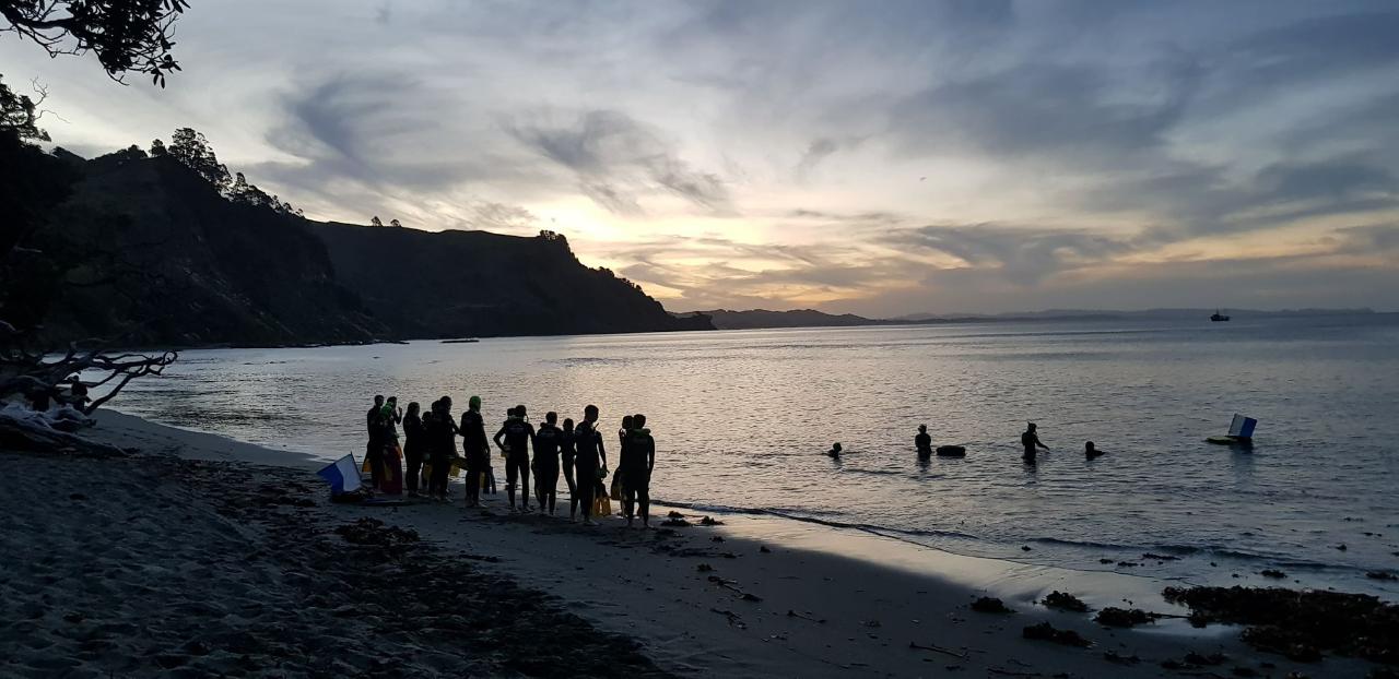 Night Snorkel Experience