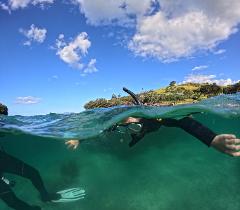 Guided Snorkel Tour Including Ecology Course