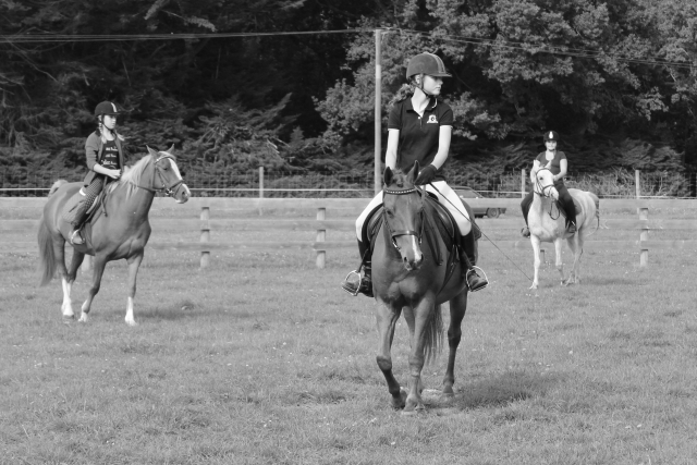 Group lesson 11 years to 16 years Beginner/Intermediate 1 hour