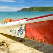 Independent Half Day Kayak Hire