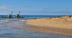 Full length of Abel Tasman (3 days)