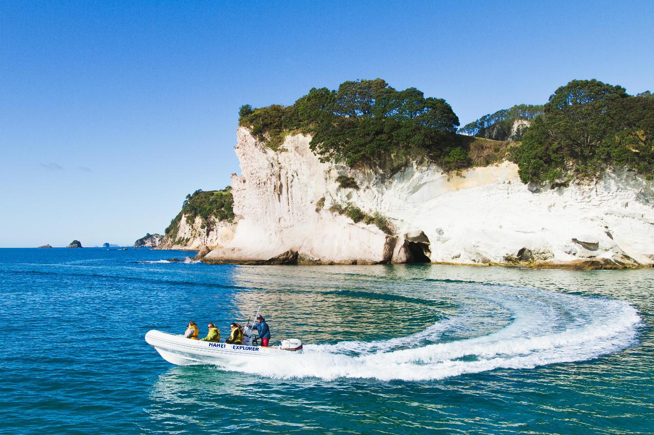 cathedral cove boat tour from hahei
