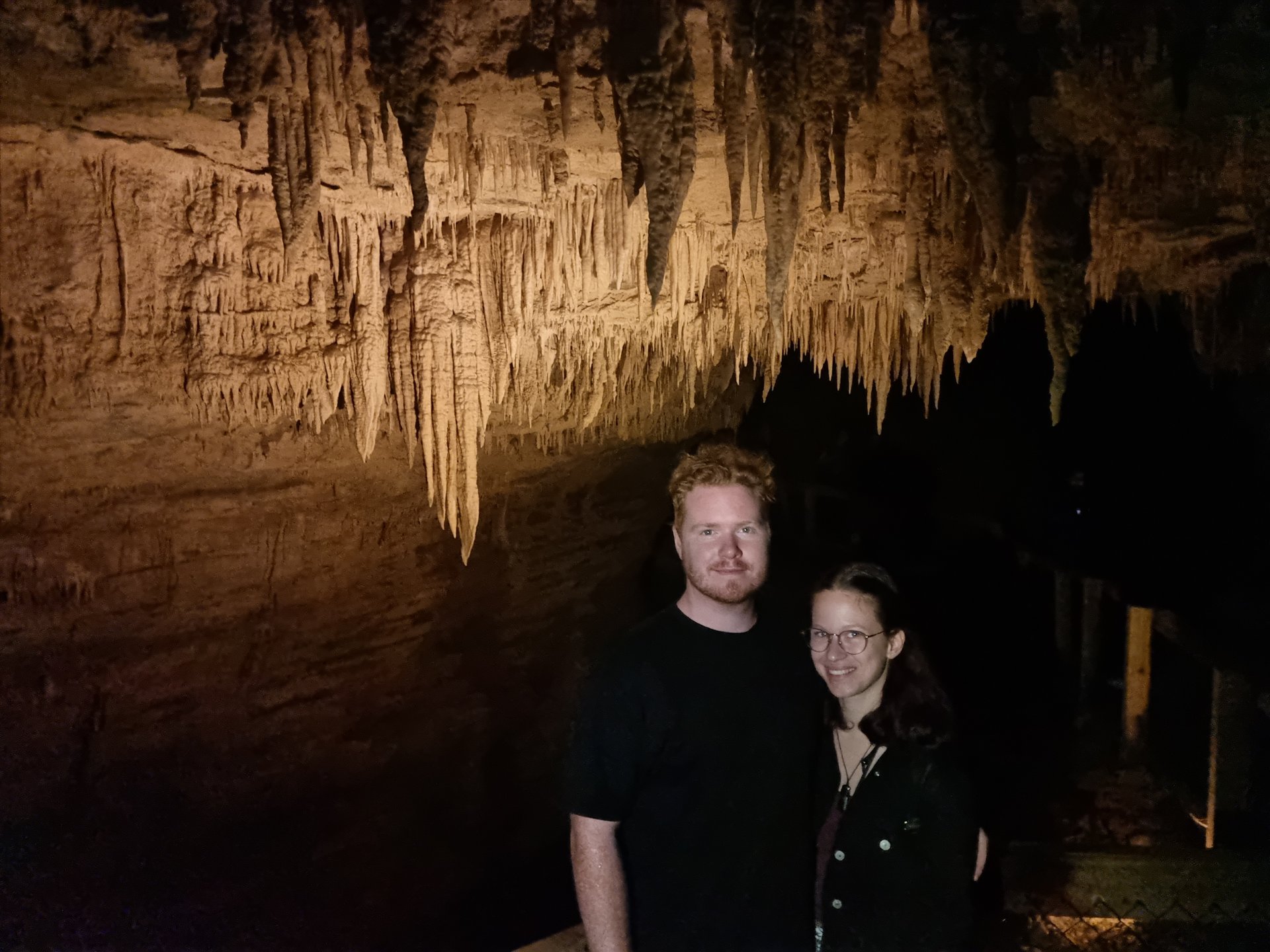 12-Day Wanderer Tour from Christchurch: Delicious Marlborough Wine Tasting | Rare Bird Species at Zealandia | Hobbiton Movie Set | **Small groups** **Passionate Kiwi guides**