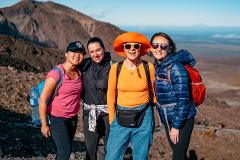 Haka Plus Wanderer Tour - 12 Days Christchurch to Auckland