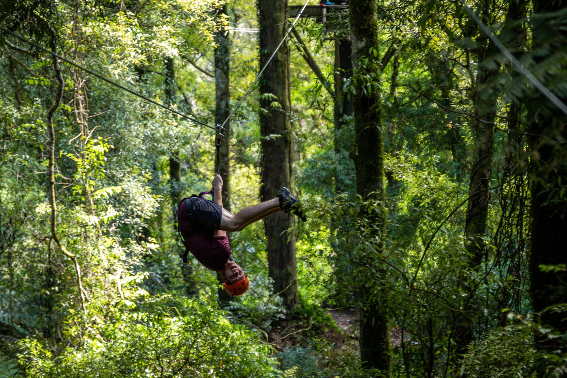 7-Day Coasts and Culture New Zealand Tour (Reverse) from Auckland: Pōhutu Geyser in Rotorua | Hobbiton Movie Set | Unique Māori Culture **Small groups** **Passionate Kiwi guides**
