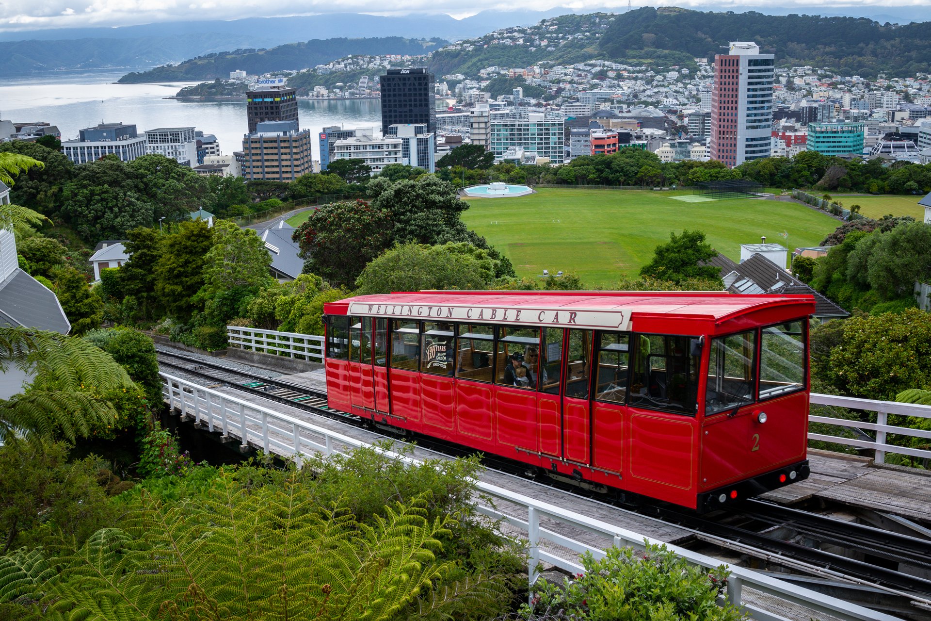 10-Day Northern Trail Tour from Auckland to Wellington: An Unmissable Māori Cultural Experience and Hāngi | Rare Bird Species at Zealandia | Hobbiton Movie Set | **Small groups** **Passionate Kiwi guides**