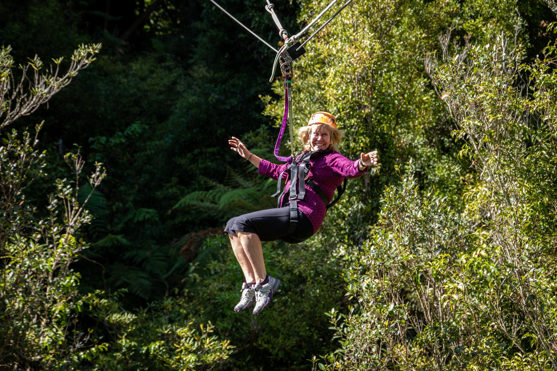 12-Day Wanderer Tour from Auckland: Delicious Marlborough Wine Tasting | Rare Bird Species at Zealandia | Hobbiton Movie Set | **Small groups** **Passionate Kiwi guides** 