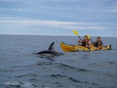 Sea Kayak Hire 1/2 day