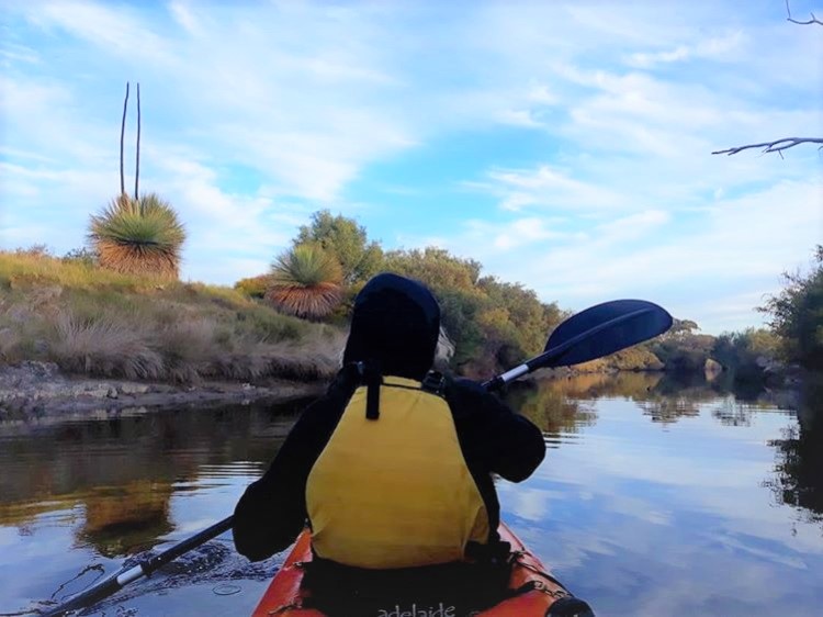 Guided Kayak Tour