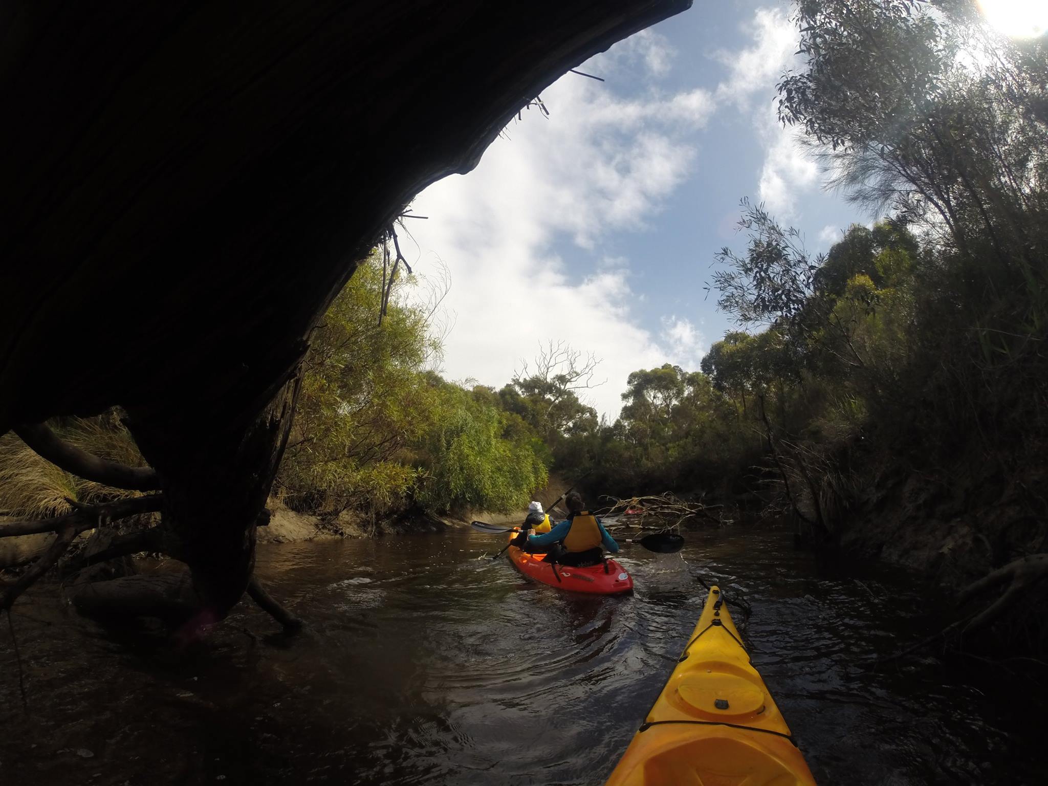 Guided Kayak Tour