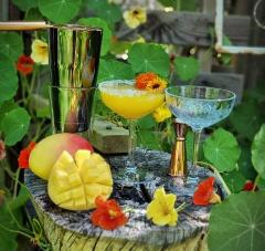 Mini Cocktail Class (Summer Splice)