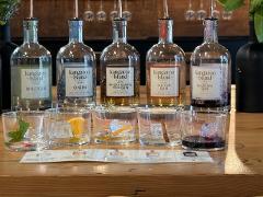 Premium Gin Tasting Experience