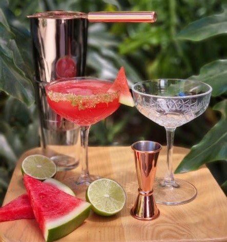 Mini Cocktail Class (Watermelon Margarita)