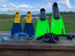 Mask/Snorkel and Fins Hire