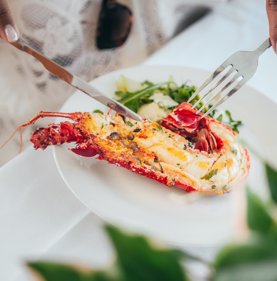 Mandurah Lobster Lunch