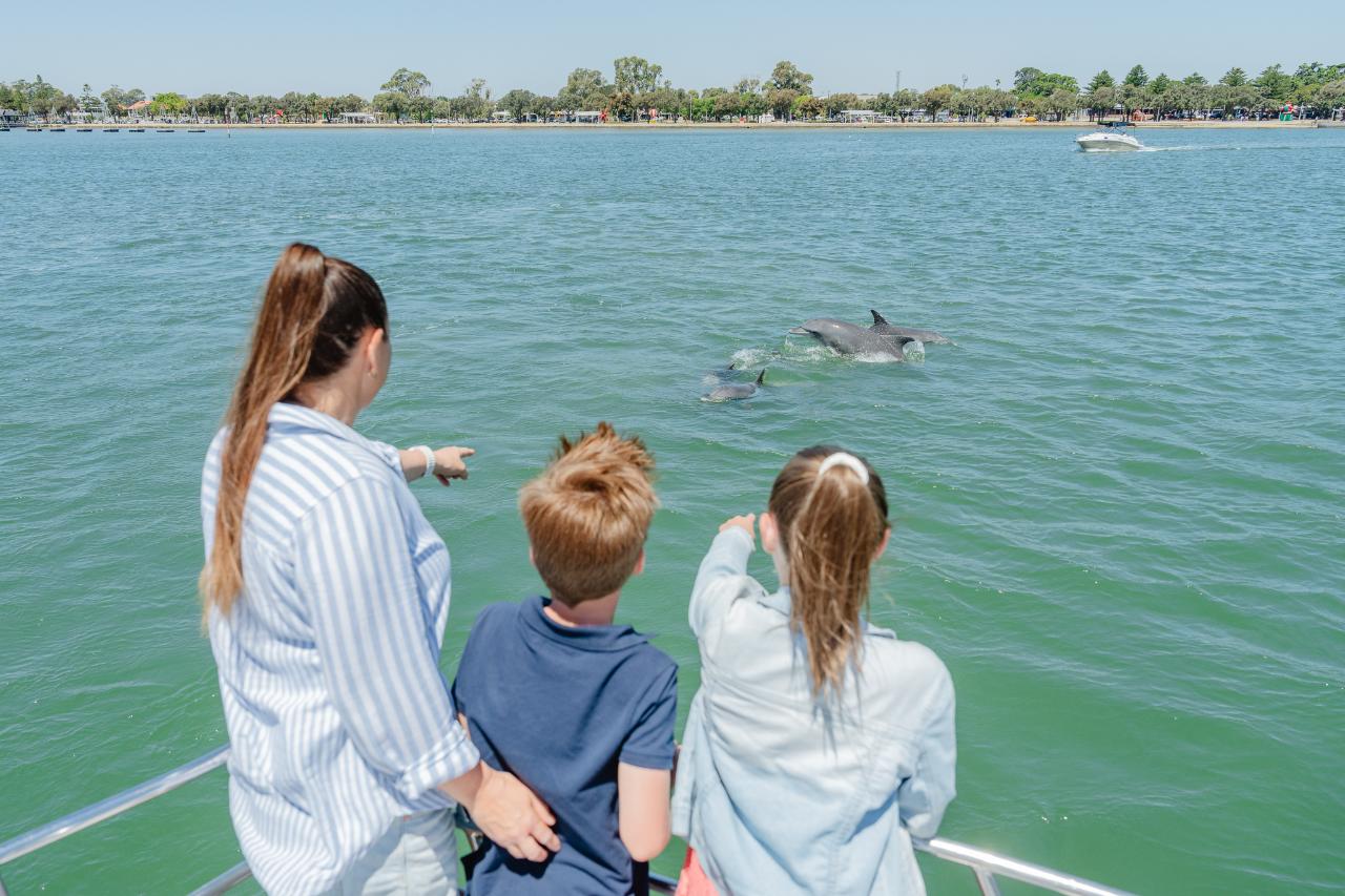 Dolphin Cruise & Views