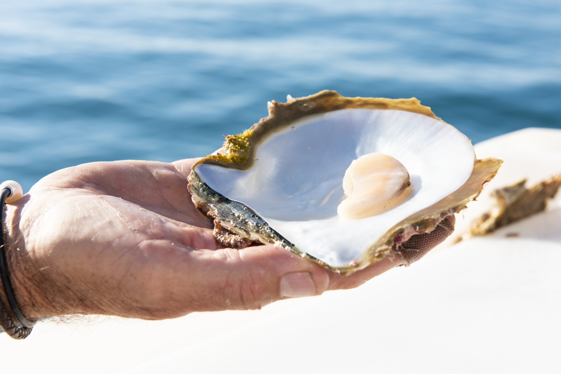 Broome Sunset, Seafood & Pearling Cruise